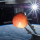 Illustration for article titled The space apple and the sinister Canadarm2